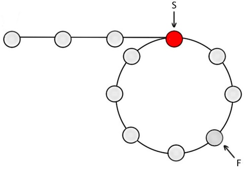 Figure-2: Circular linked list, with S at the start of loop and F m nodes into the loop
