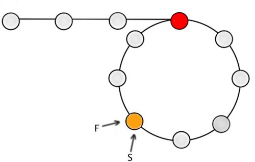 Figure-3: Both F and S meet m nodes from the end of the loop